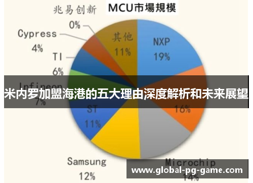 米内罗加盟海港的五大理由深度解析和未来展望 米内罗加盟海港的五大理由深度解析和未来展望