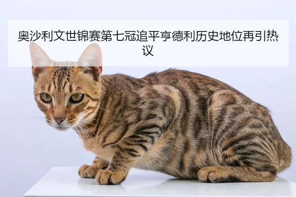 奥沙利文世锦赛第七冠追平亨德利历史地位再引热议