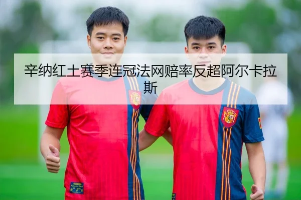 辛纳红土赛季连冠法网赔率反超阿尔卡拉斯
