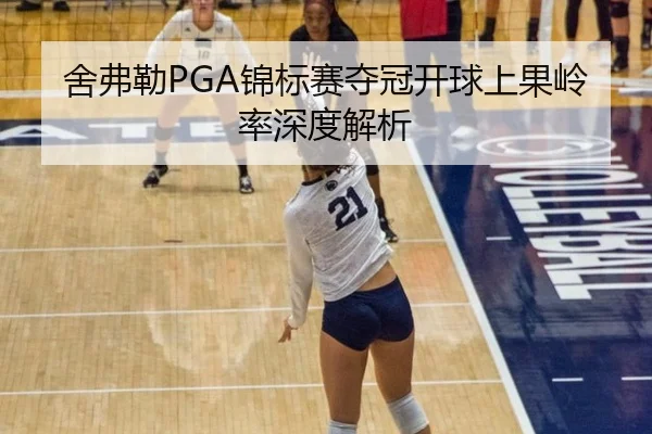 舍弗勒PGA锦标赛夺冠开球上果岭率深度解析