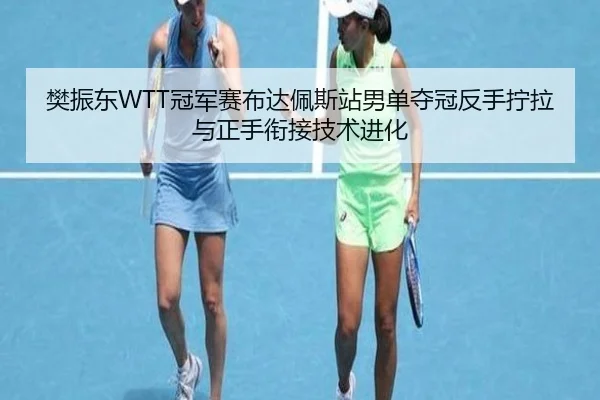 樊振东WTT冠军赛布达佩斯站男单夺冠反手拧拉与正手衔接技术进化
